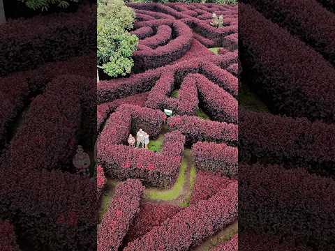 Laberinto Mil Caminos en Quimbaya 🇨🇴 ¿Vale la pena visitarlo? #Quindío