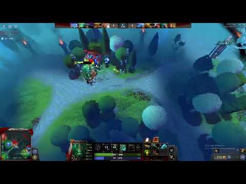 DOTA WRAITH KING SUPPORT META