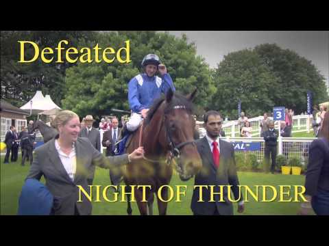 New Shadwell Stud stallion MUKHADRAM