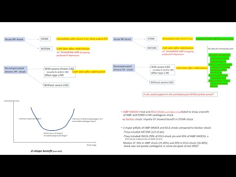Cardiogenic shock: tips and updates