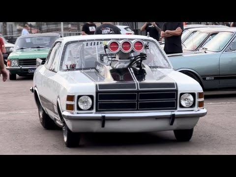 Opala Night Curitiba-PR 2025