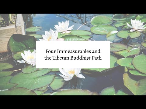 Four Immeasurables and the Tibetan Buddhist Path