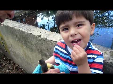 EMILIO CHARUM Y LOS PATOS