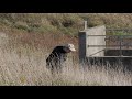 Stothekid Deep Inhale Official Video
