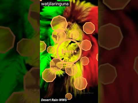 Desert Rain - Watjilaringuna ft WWS 😎🎶