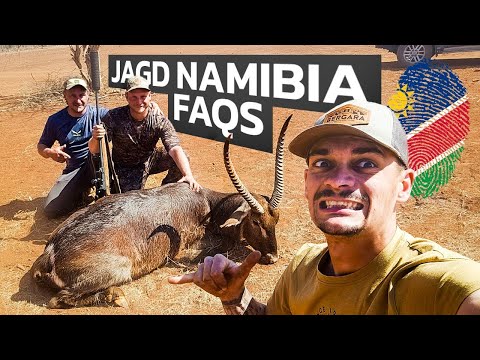 Namibia Jagdreise - Kosten? Kaliber? Ausrüstung? Wann? Was? Wo? #jagdreise #namibia