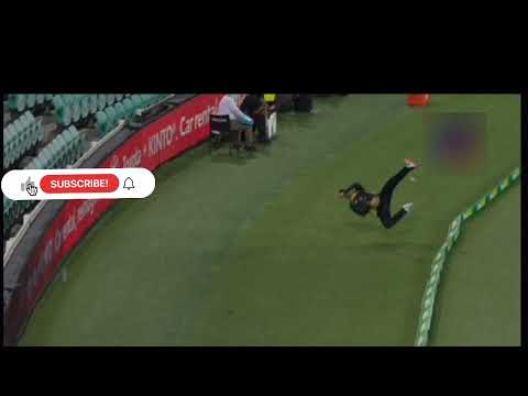 brilliant catch attempted by Steve Smith against srilanka at boundary | srilanka vs australia t20
