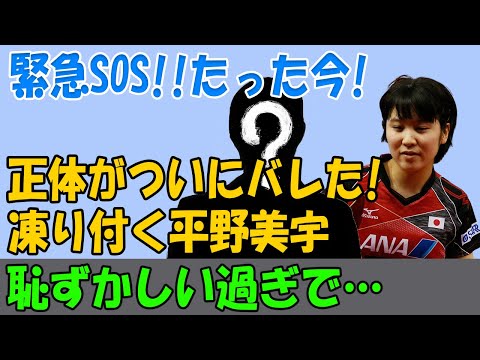 【衝撃】平野美宇が極秘結婚!お相手は中国大物実業家!?引退宣言&スポンサー問題で日本卓球界が大揺れ!