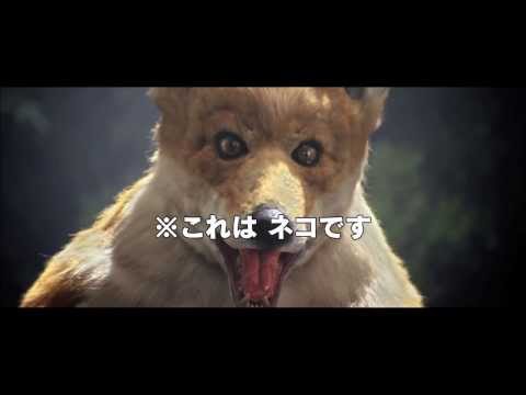 映画『ジャッジ！』TVCM30秒きつね篇