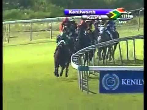 Terminator 4th win at Kenilworth - Racing Association