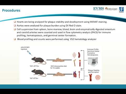 Thumbnail image of video presentation for Investigating HIV-1 TAT protein role in Atherogenesis