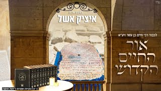 איציק אשל, אליה והב, דוד חפצדי, יחיאל נהרי, חיים אביטל, משה דוויק, ציון גולן - אור החיים הקדוש