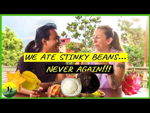 Tasting INDONESIA'S WEIRDEST FRUITS (and Vegetables)! | SUMATRA VLOG