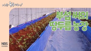 [나는농부다 238회] 부섭 씨의 땅두릅 농장