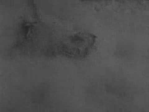 Coregoremorecybershit - Last Days of Humanity