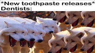2 Wolves Laughing Memes