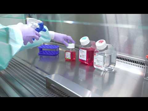 Thawing Cells: Cell Culture Basics