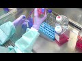 Thawing Cells: Cell Culture Basics