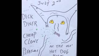 Dick Diver - LIVE@The Happy Dog (Jul 2, 2015)