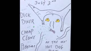 Dick Diver - LIVE@The Happy Dog (Jul 2, 2015)