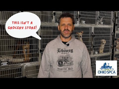  When You Work At An Animal Shelter in Ohio 