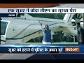MP CM Shivraj's helicopter landing delayed as pig enters helipad