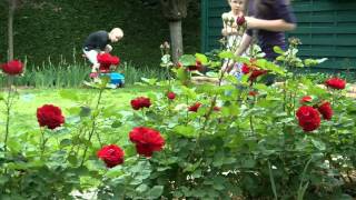 "Les enfants foutez-leur la paix" .mpeg