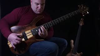 Michael Manring cover sung to sleep