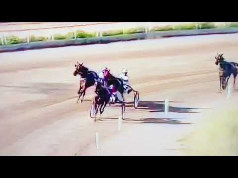 Dany Capar vince la corsa 2 a Siracusa il 03/11/2022 🌷