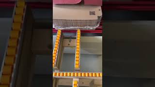 SunThink Csmini digital printing machine | Image 4 - Machineryline