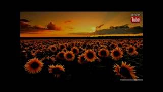 Download lagu Substreet~Kau Tercipta Bukan Untukku with lyrics mp3