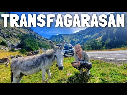 🇷🇴 THE MOST BEAUTIFUL ROAD IN THE WORLD (Transfagarasan Highway, Romania)