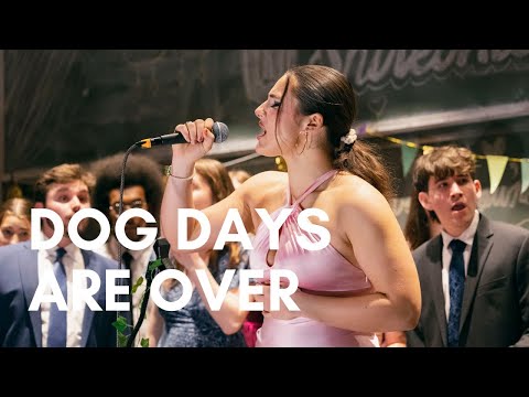 Dog Days Are Over (Florence & The Machine) | ShireiNU A Cappella Winter 2024