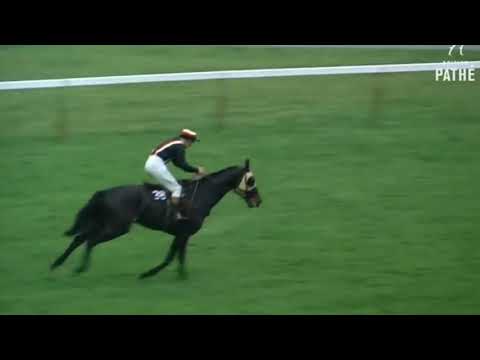 GRAND NATIONAL MEMORIES: 1967 FOINAVON