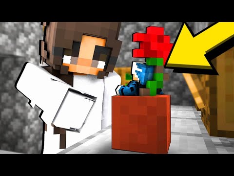 KENDAL USA I TRUCCHI NEL NASCONDINO - MINECRAFT ITA