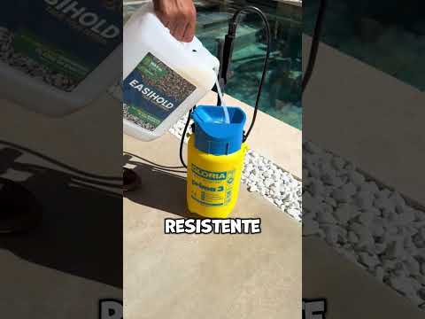 Dovrebbe assolutamente essere premiata per un'idea del genere! (@cosy casa)