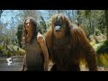 Kingdom Of The Planet Of The Apes Extended Preview 2024 Fandango At Home
