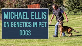 Michael Ellis on Genetics in Pet Dogs