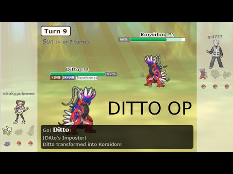 Ditto saved me from getting swept by Koraidon in Pokemon Showdown Gen 9 Random Battles!