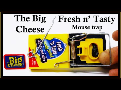 The Big Cheese - Fresh N' Tasty Mouse Trap. Mousetrap Monday
