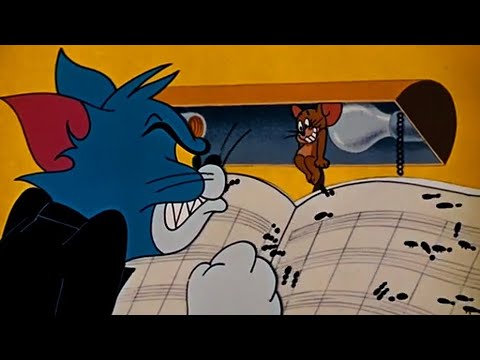 Tom dirige la Orquesta (Carmen Get It)