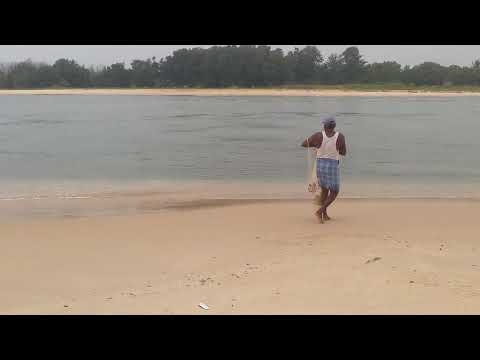 CATCHING FISH USING CAST NET AT DELTA BEACH( KODI BENGRE), UDUPI , KARNATAKA #deltabeach #fishing