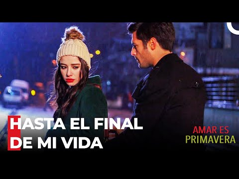 Contigo Estoy Dispuesto A Todo - Amar Es Primavera