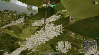 【PUBG】トロールもりぞー