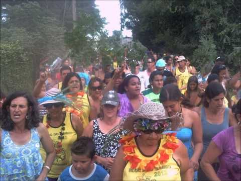 SAMBA - BLOCO DO BAMBU 2014