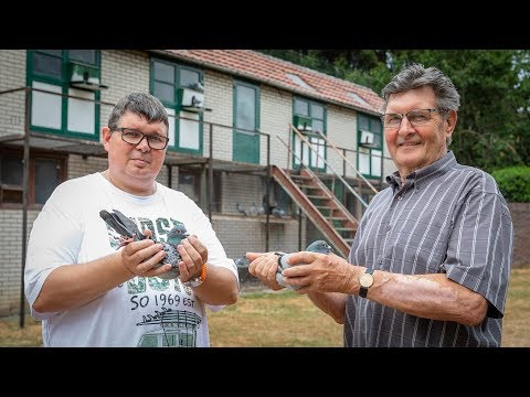 National NPO winners 2018  - Châteauroux: B. Martens & Son, Stein