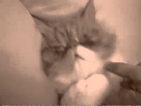 5 more of minutes - ещё 5 минуточек 