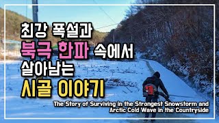 북극한파와 폭설속에서 살아남는 시골이야기 닭, 오리, 강아지들의 겨울나기