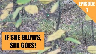 FREEZER FILLER In The Oaks! | PA Archery Doe | October 2023