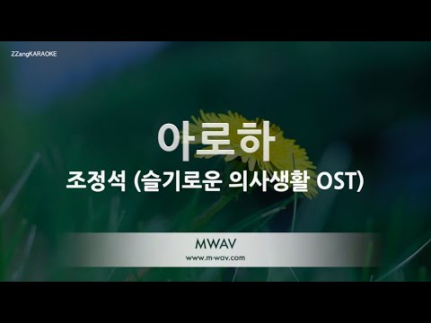 [짱가라오케/노래방] 조정석(Jo Jung Suk)-아로하(ALOHA) (슬기로운 의사생활 OST) [ZZang KARAOKE]